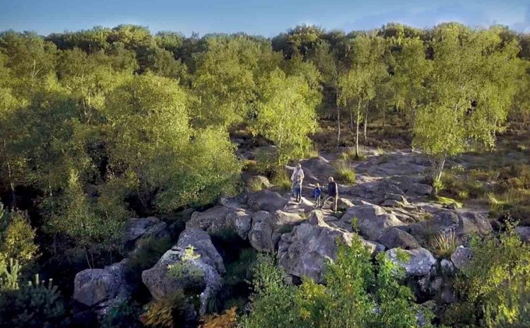 La Forêt de Fontainebleau 